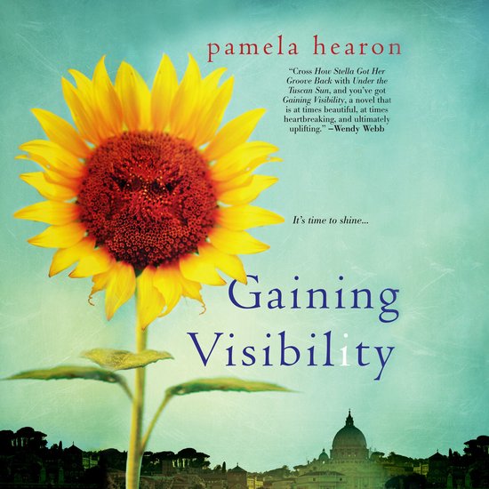 Gaining Visibility - cover