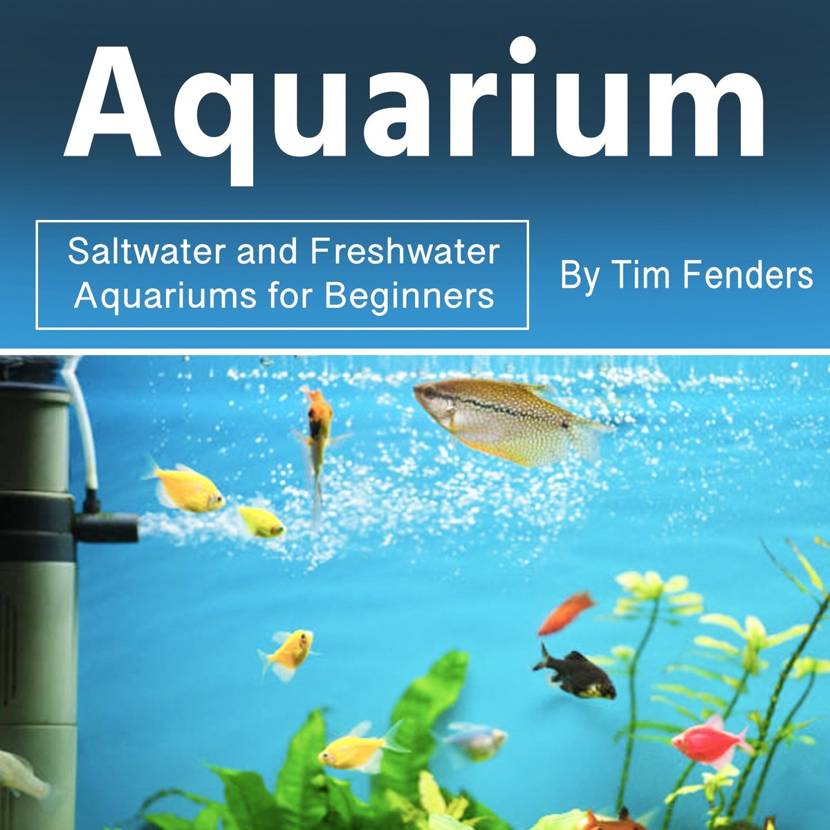 Aquarium thumbnail