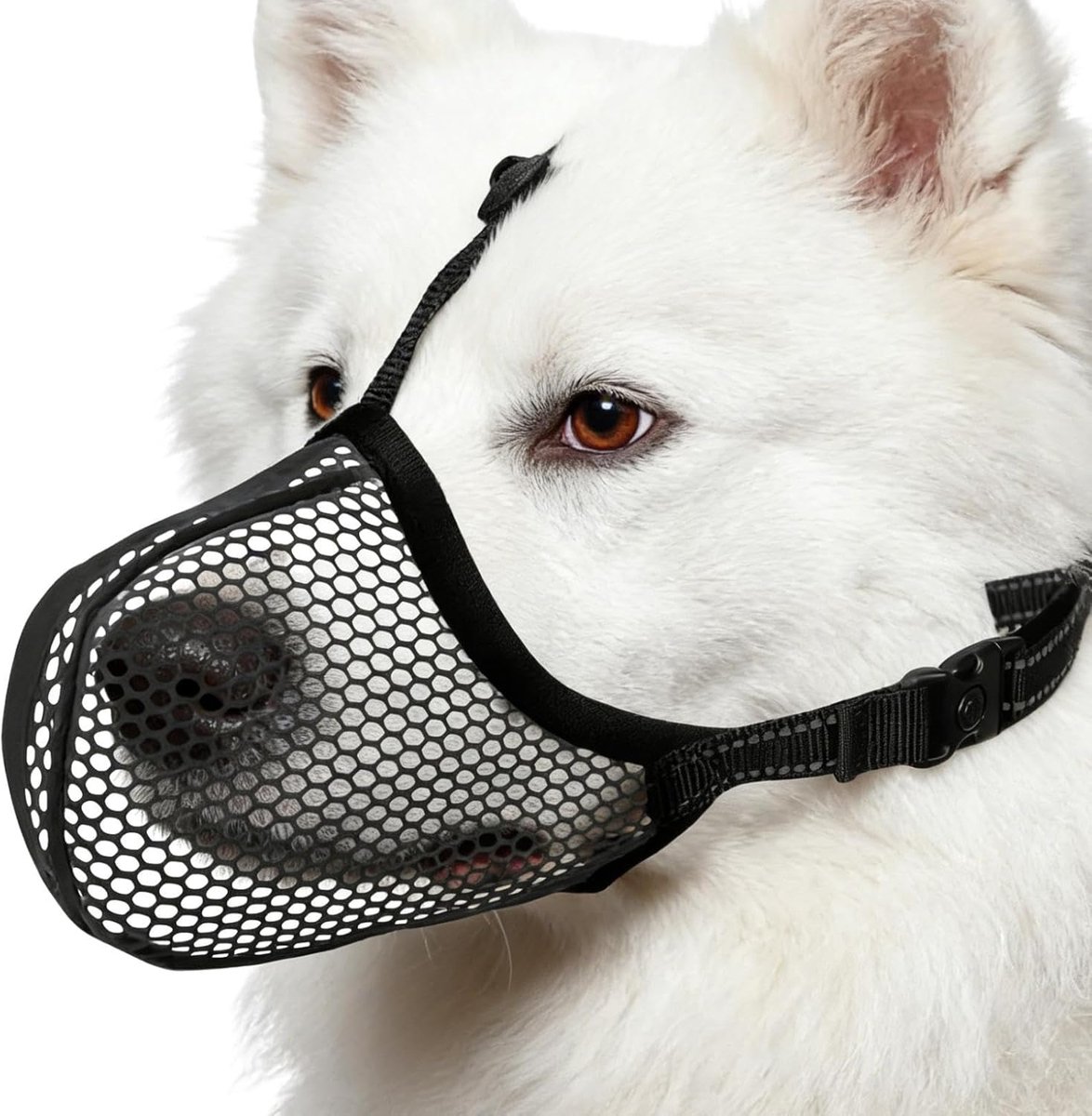 Honden muilkorf - Anti-blaf mand - Veilig uitlaten - Verstelbaar ademend - Middelgrote honden - Zwart