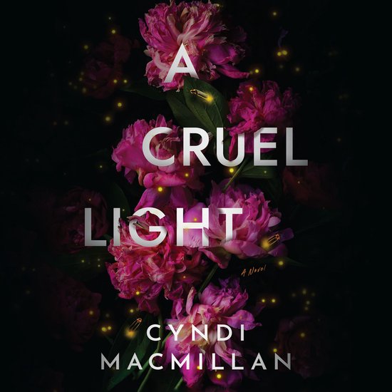 A Cruel Light - cover