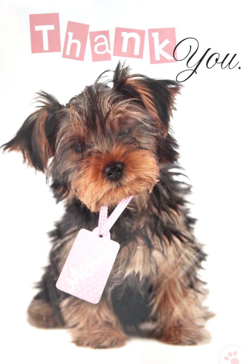 Luxe Wenskaart Bedankt - Thank You Deer - By Myrna - Hond Puppy - 14,5x21cm - Dubbele Kaart - Met Envelop - Luxe Wens Kaart - Greeting Card - 1 Stuks - In Folie Verpakt - Bedankt - Thanks - Danke - Merci - Dank - Gratis Verzonden