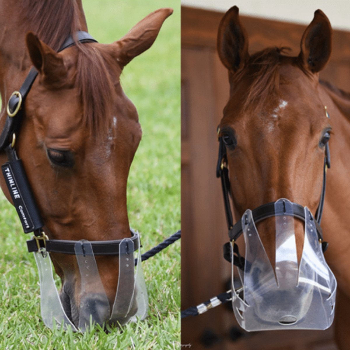 Thinline Graasmasker - Graasgat 2,5 cm - Small - Mini/Pony