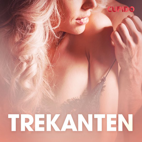 Trekanten - erotiska noveller - cover