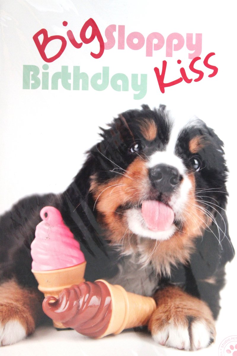 Luxe Wenskaart Verjaardag - Hartelijk Gefeliciteerd - By Myrna - Hond Puppy - 14,5x21cm - Dubbele Kaart - Met Envelop - Luxe Wens Kaart - Greeting Card - 1 Stuks - In Folie Verpakt - Birthday - Geburtstag - Anniversaire - Gratis Verzonden