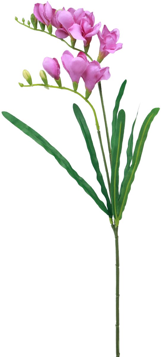 Innovation of Green GmbH Kunsttuinbloemen freesia paars 58cm