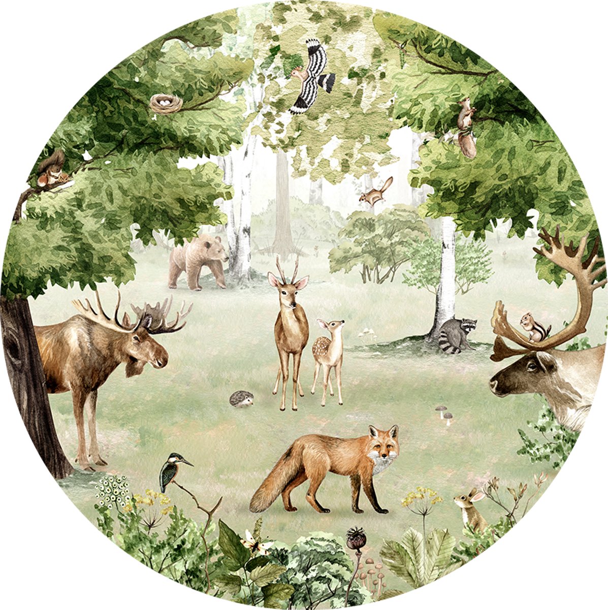 Muursticker - Behangcirkel - Kinderkamer - Ronde wanddecoratie - ø 100 cm - Bosdieren - Woodland Wonders