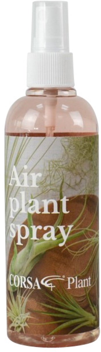 JUNAVERA Tillandsia luchtplant verzorgingsspray 150ml met voeding voor alle luchtplanten