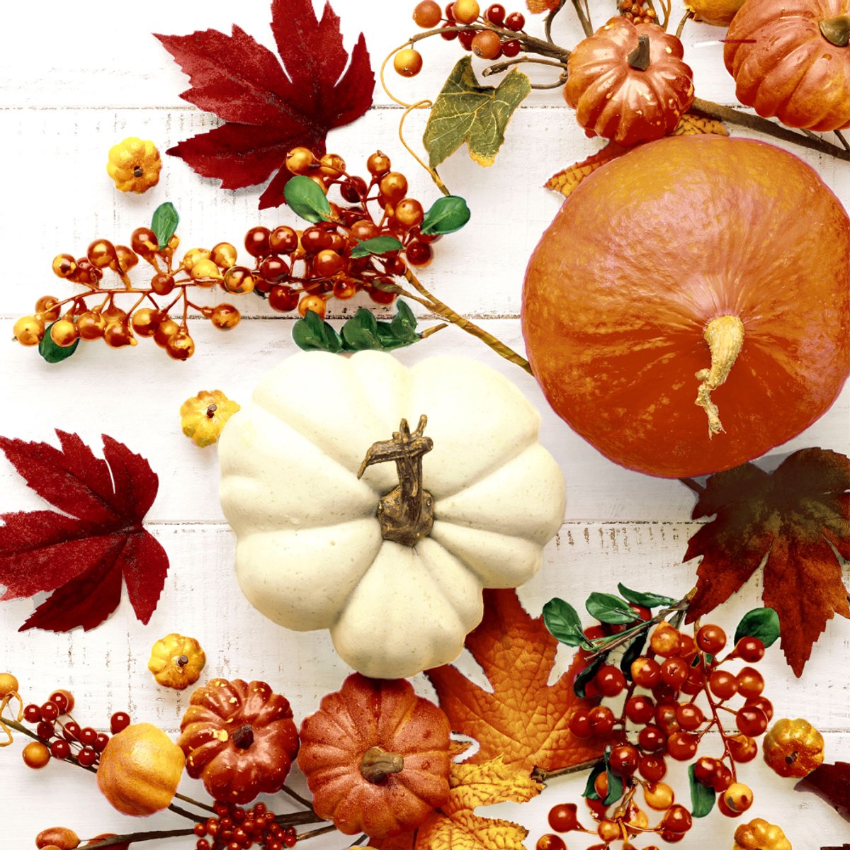 P+D - Cocktail servetten - Pumpkin & leaves - 20 servetten - 25x25cm - Herfst - Pompoenen - Bladeren