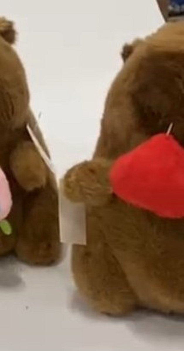 Klikkopers® - Capybara Knuffel 20 cm – Zachte Capibara Pluche Knuffeldier – Schattig Speelgoed Cadeau voor Kinderen en Baby