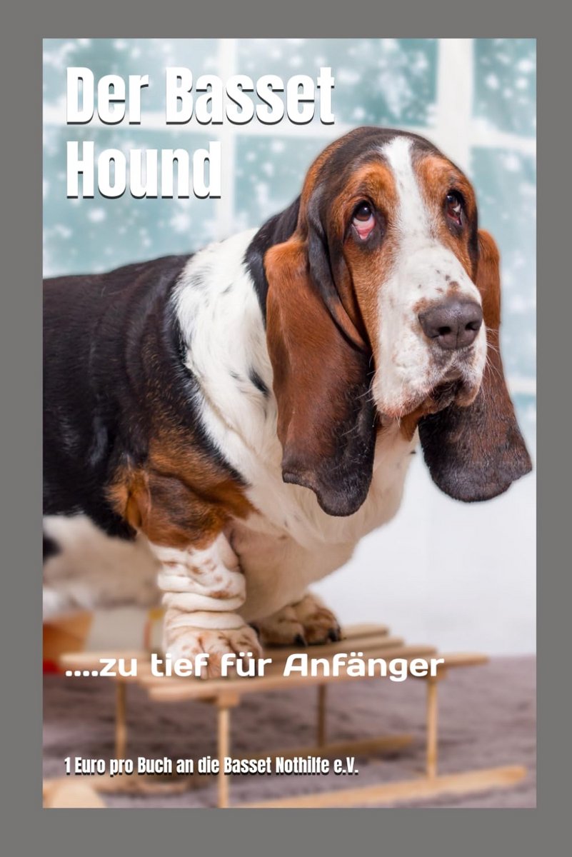 Alles over de Basset: Kenmerken, Verhalen en Tips voor Beginners