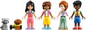 Vier LEGO Friends-figuren, een hond en een wasbeer.