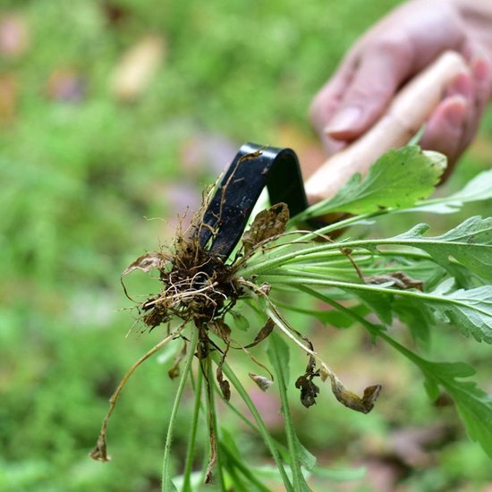 2 stuks onkruidverwijderaar met wortels, handgereedschap voor het wieden van onkruid, onkruidverwijderaar voor gazon/tuin, hoek voor eenvoudige onkruidverwijdering en dieper graven, graaft diep tot aan de wortels, roestvrij staal (zwart) van Merkloos	 — afbeelding 4