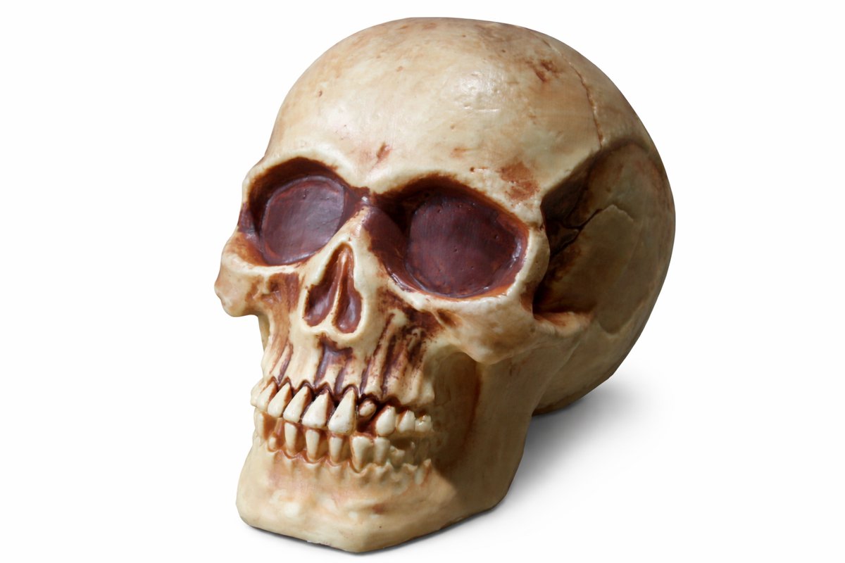 Fun World Schedel Decoratie Halloween Schedel Skull Skelet Halloween Decoratie Halloween Skelet Decoratie - Beige - 20 cm