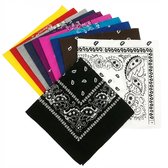 12 stuks bandana set – multicolor paisley bandana’s – katoenen unisex hoofddoeken – 12 kleuren – veelzijdig voor haar, nek, sport & styling