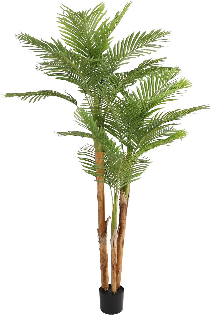 NeverLeafs Kentiapalm kunstplant - 190 cm - tropisch design voor binnen