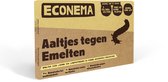 Aaltjes tegen Emelten - 50 m² – Biologische bestrijding van kale en gele plekken in gazon