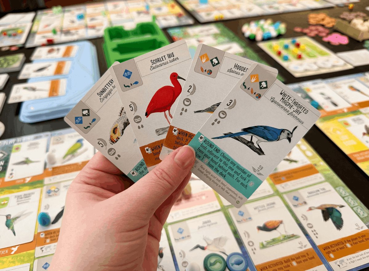 999 Games - Wingspan uitbreiding: Midden- en Zuid-Amerika Bordspel — afbeelding 2