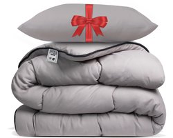 Avenue – Dekbed zonder overtrek 240x220 cm Taupe + Hoofdkussen 60x70 cm Taupe – Hoesloos – Anti-allergisch & wasbaar op 60°C – All Year comfort slaapbundel