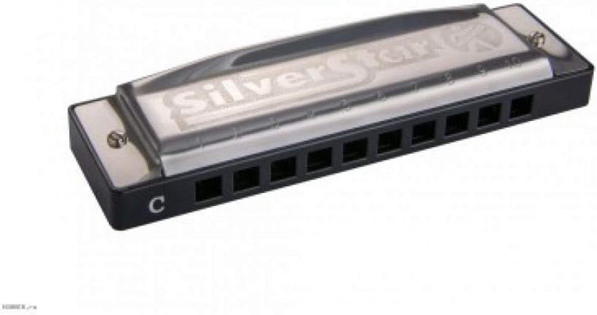 Diatonische Mondharmonica 20 Tonen Richter Systeem - Helder Geluid