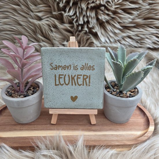 Robuust wenstegeltje “Samen is alles leuker!” – Liefde & Vriendschap Cadeau – Keramiek – Decoratie – Relatie Cadeautje – Vriendschap - Trendy nu