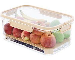 IJsgekoelde snackbox met koelelement, draagbare koelbox met deksel en handvat voor kamperen en picknicken, luchtdichte fruitbewaarcontainers voor in de koelkast, bewaardoos voor verse bessen voor maaltijden, groentesnack, beige-Belle's product