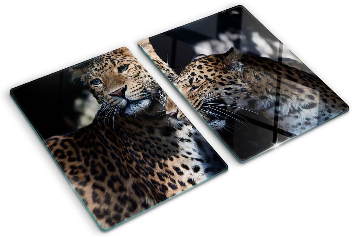 Grote Glasplaat 40x52 cm: Snijplank, Kookplaat Afdekking en Achterwand