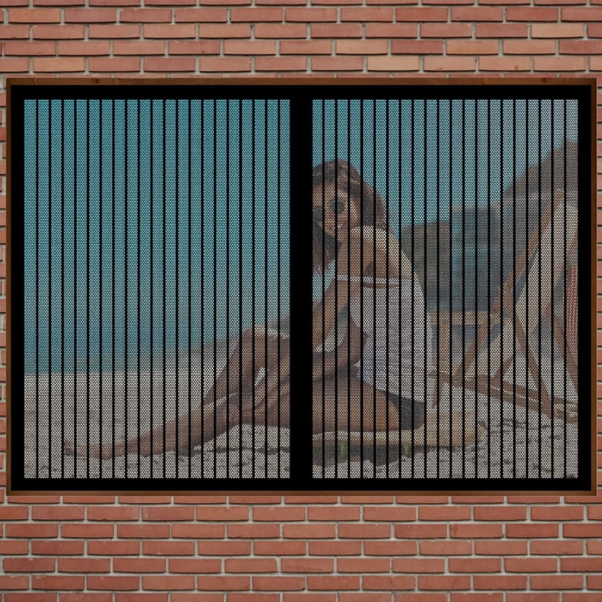 Magnetisch Hor voor Balkondeur of Terrasdeur 100x195 cm Zwart - Eenvoudige Montage