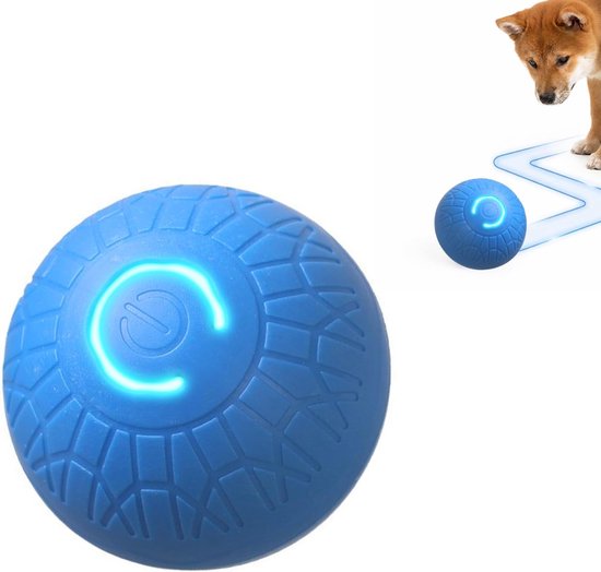Balle bleue avec logo lumineux, à côté d'un chiot Shiba Inu.