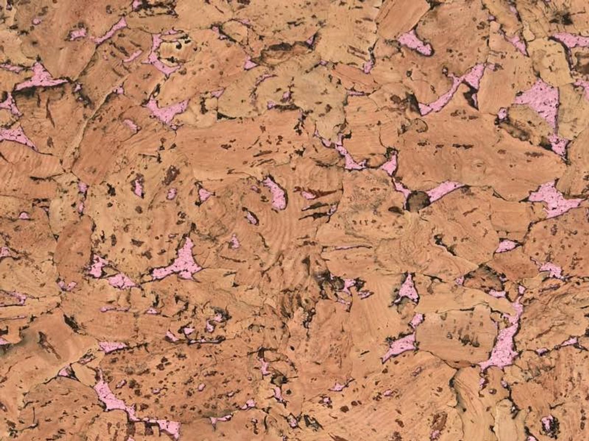 Wandkurk | Vloertegel | Chaves | Roze | tegels 30x60 cm ca. 3,5 mm dik | 11 stuks in 1 verpakking | 1.98 m² | 8 kleuren |