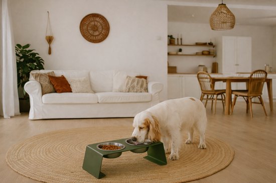 Witte hond eet uit een dubbele voerbak op een verhoogd groen station op een rond tapijt.