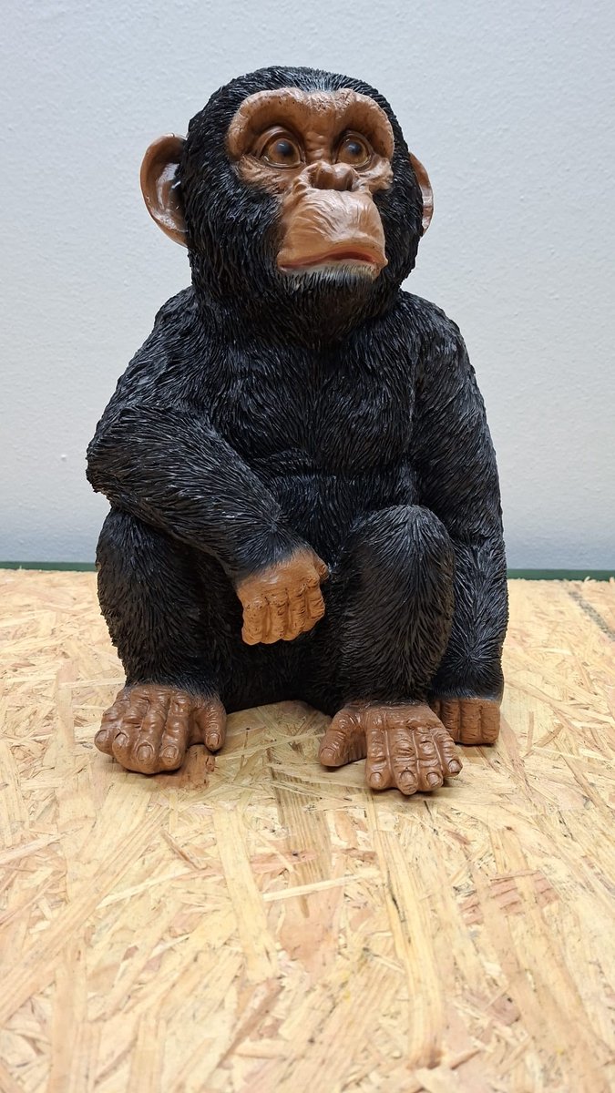 Chimpansee zittend arm omlaag beeld - 30cm hoog - Polystone - 2 varianten - Cadeau - Decoratie - Woonaccessoires - Beeld