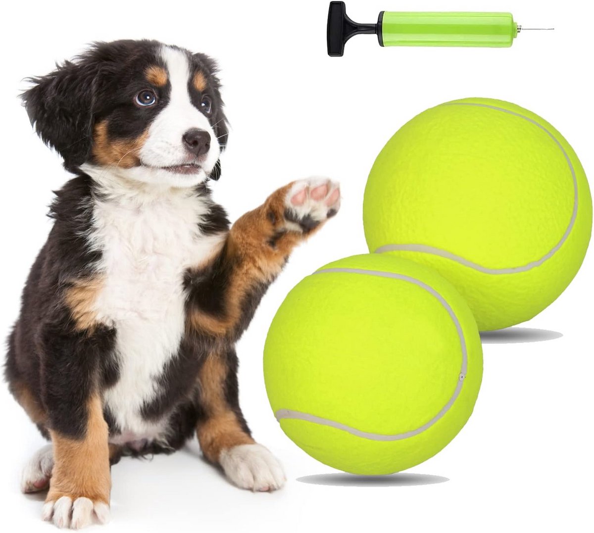 Extra Grote Hondentennisballen Set 2 Stuks Inclusief Pomp