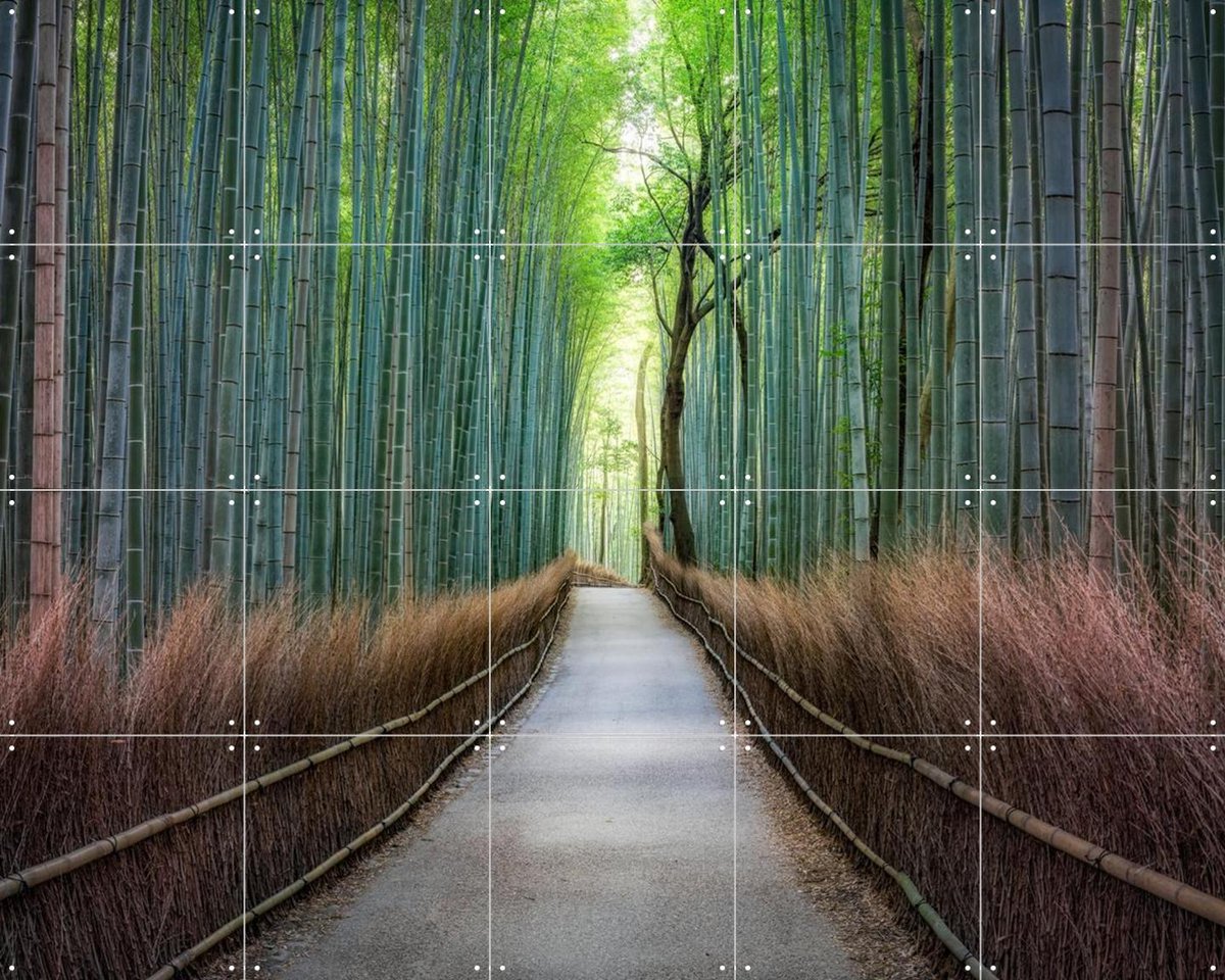 IXXI Arashiyama bamboo grove, Kyoto, Japan, Jan Becke - 100 x 80 cm - Gratis ophangtool - Grote wanddecoratie en posters - Fotografie, Naturalisme
