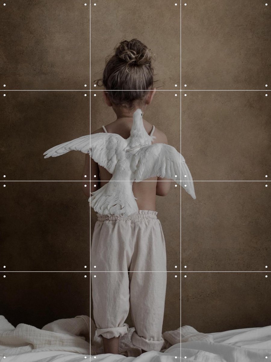 IXXI Peace, STUDIO HANNAH LEMHOLT - 60 x 80 cm - Gratis ophangtool - Grote wanddecoratie en posters - Fotografie, Slaapkamer, Winter, Natuur