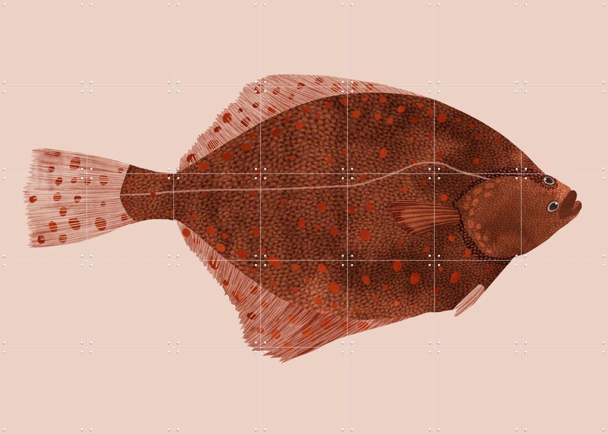 IXXI Plaice, Merel Corduwener - 140 x 100 cm - Gratis ophangtool - Grote wanddecoratie en posters - Illustraties, Woonkamer, Vissen, Zeeleven