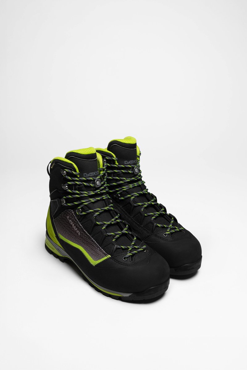Alpine Pro GTX Heren Zwart