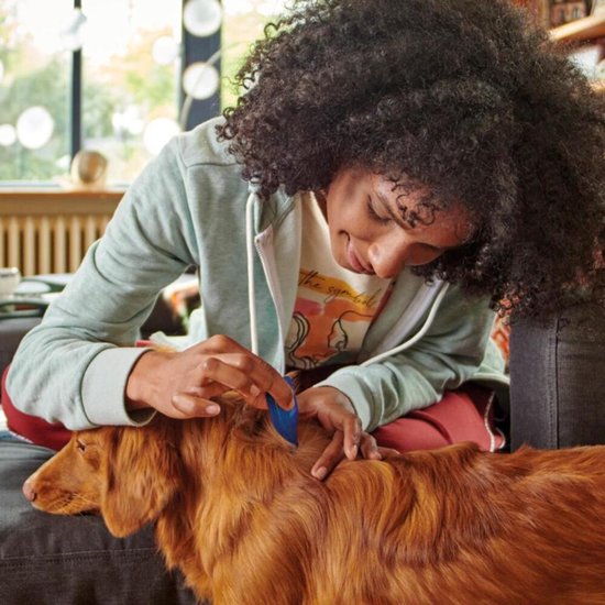 Een vrouw met krullend haar kamt een bruine hond met een blauwe vlooienkam.
