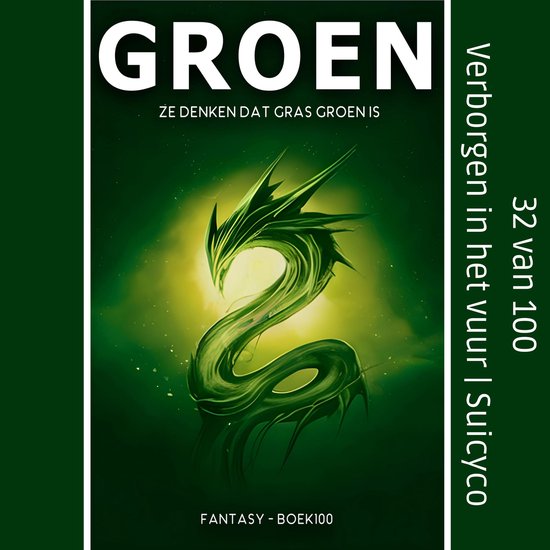 Verborgen in het vuur - cover