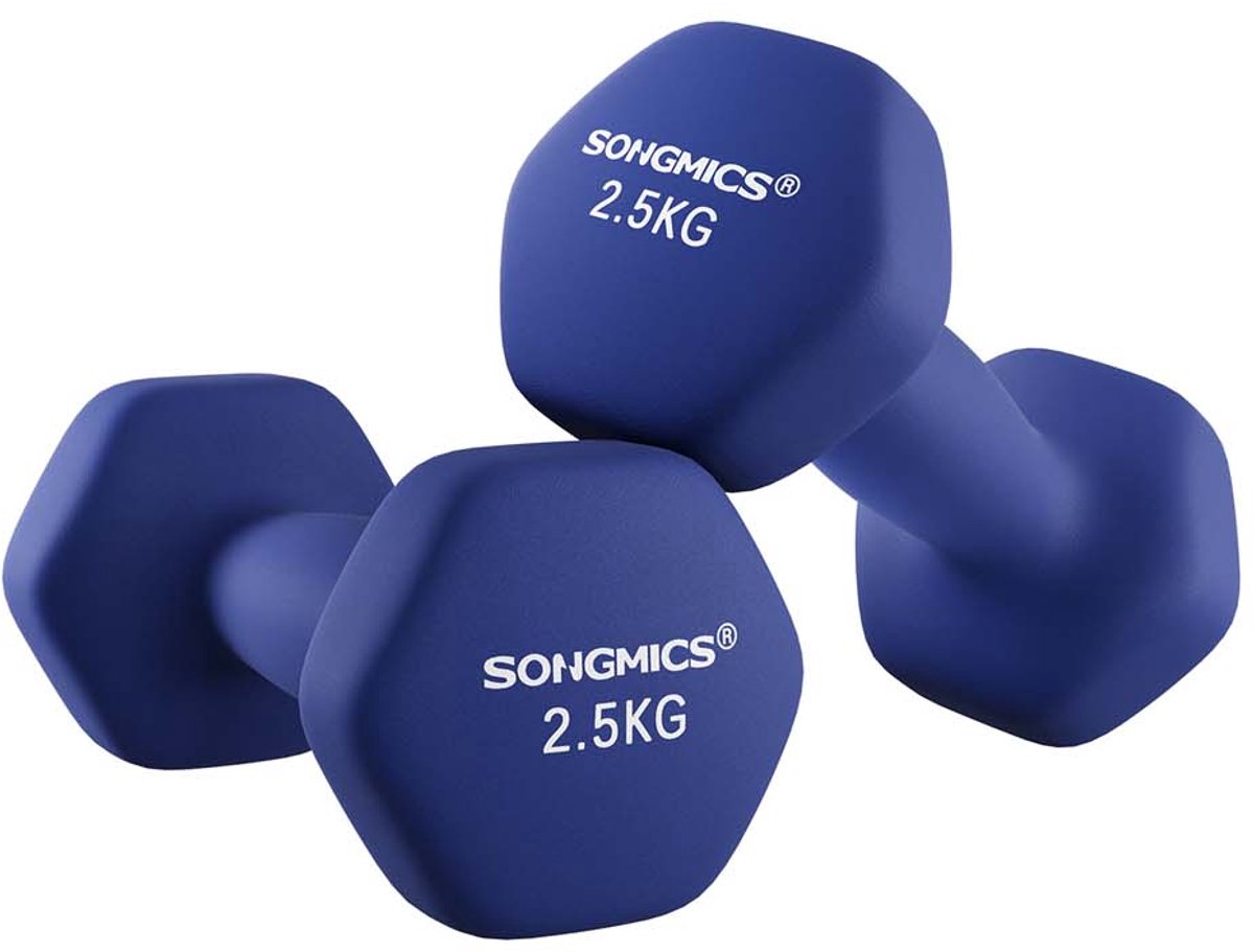 Set van 2 neopreen dumbbells – vinylcoating – Harbor Blue – antislip matte afwerking, 2 x 2,5 kg