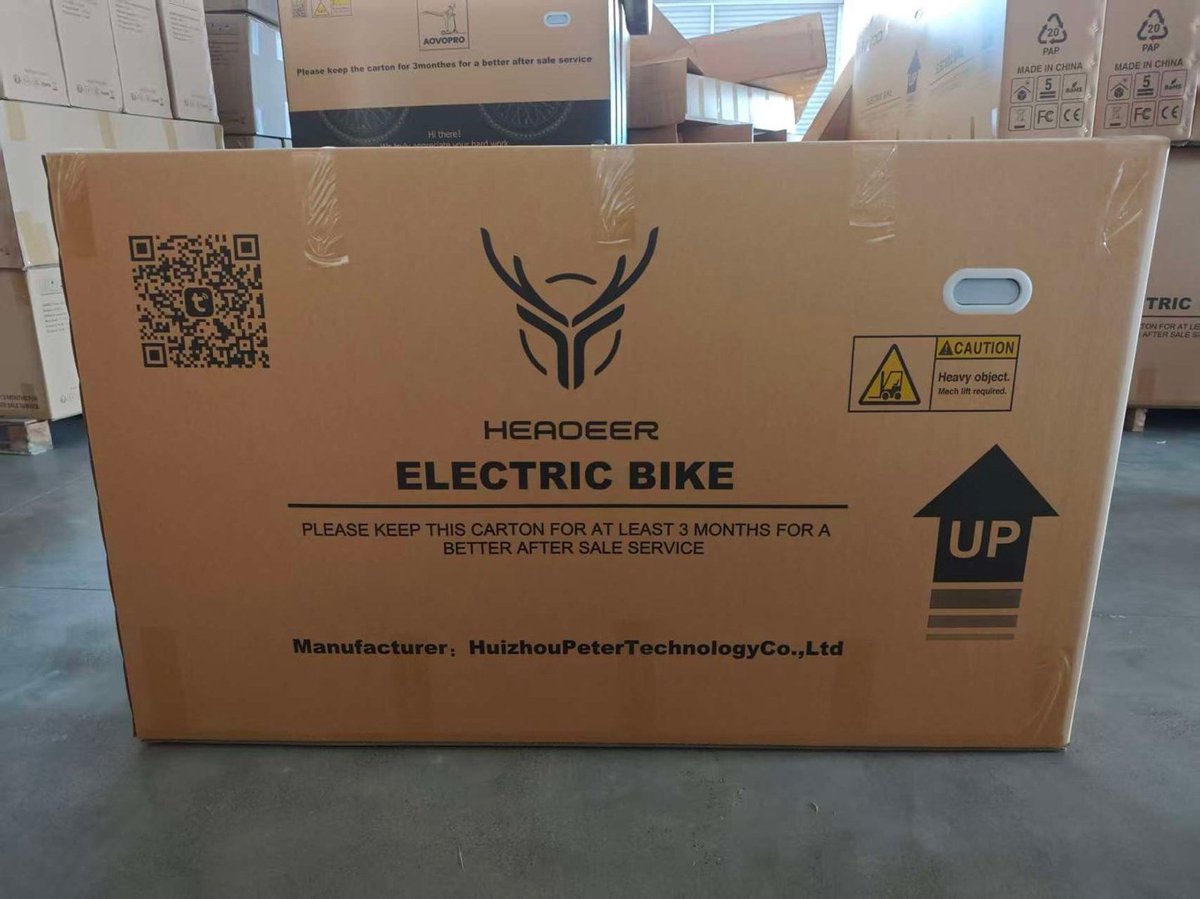 Huizhou Peter Elektrische Fatbike 250W met Hydraulische Remmen - afbeelding 2