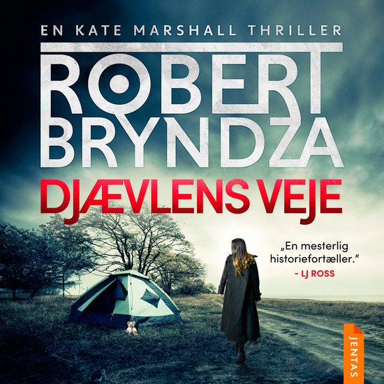 Djævlens veje - cover