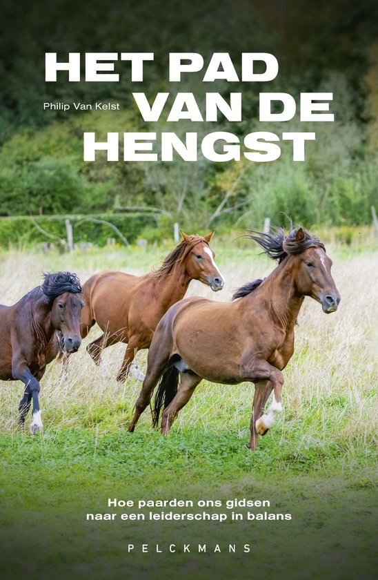 Het pad van de hengst - cover