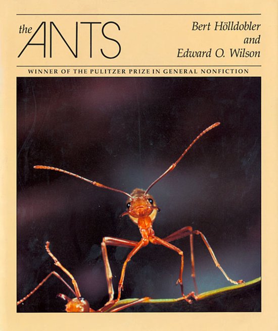 De kaft van het boek 'The Ants' met een close-up van een rode mier op een tak. De titel en auteursnamen zijn zichtbaar.