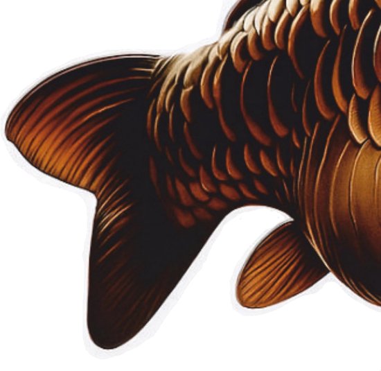 Vis Trofee - Karper Prijs - Viswedstrijd - Realistische Afbeelding - 20 cm - Natuurlijke kleuren — afbeelding 2