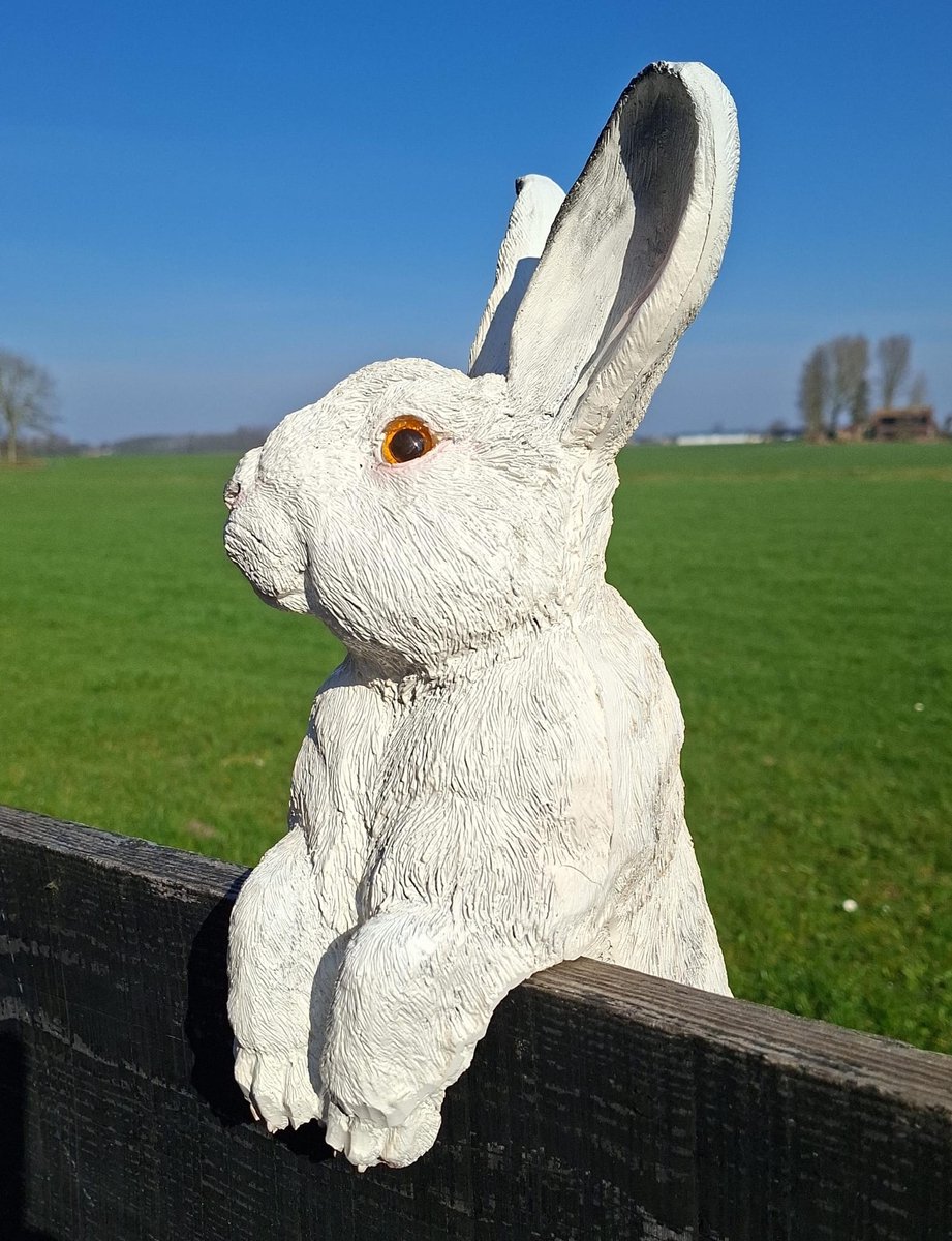 Haas - Pasen - Cadeau - Aanbieding -Breng je tuin tot leven met deze Nieuwsgierige Haas – Tuinbeeld Polystone