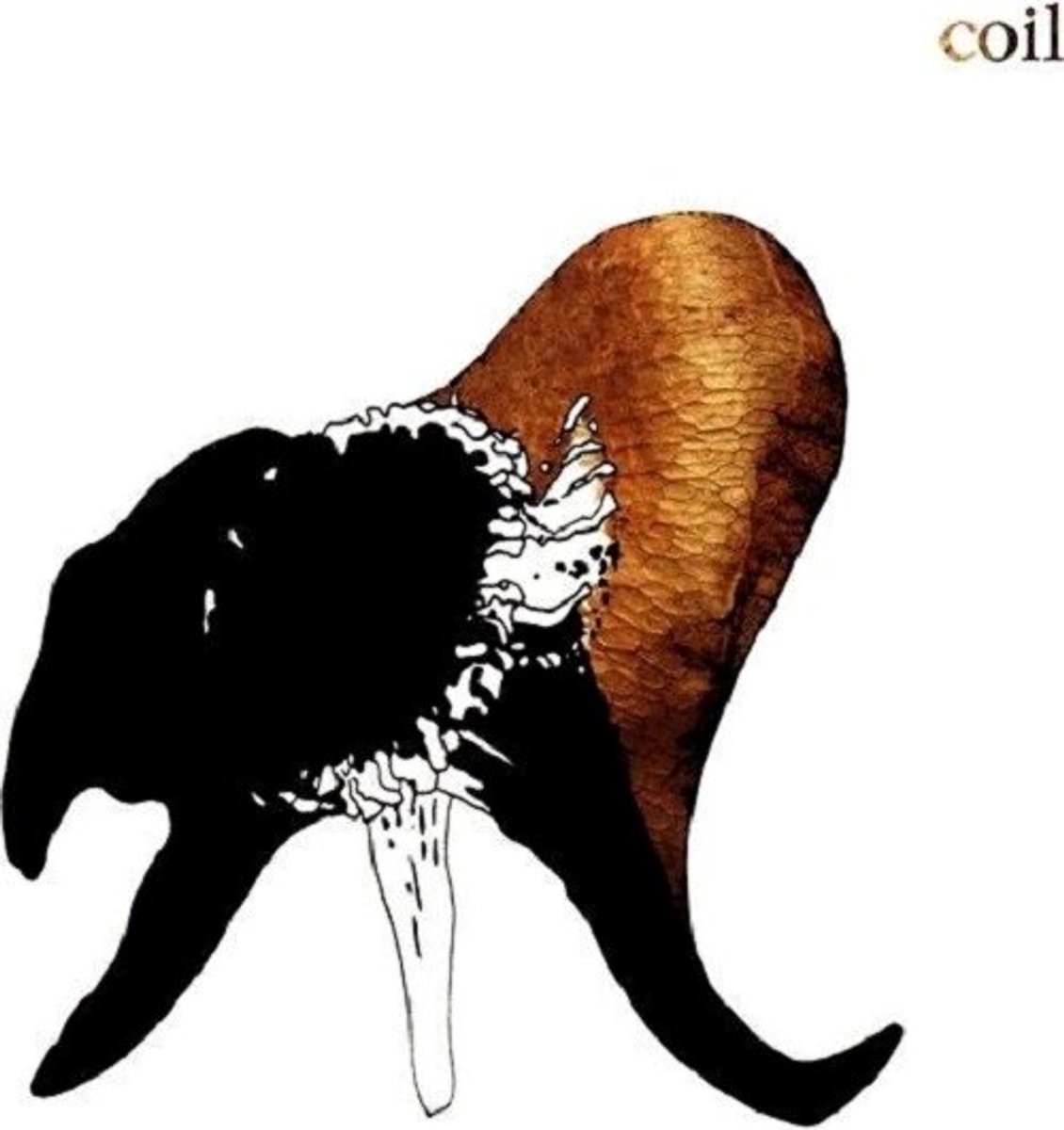 Coil - Black Antlers (2 LP) (Coloured Vinyl)