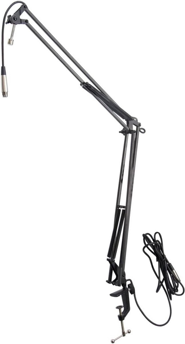 Professionele Microfoon Arm Zwenkarm voor Broadcast en Webcast
