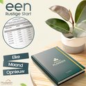 Donkergroene budgetplanner met gouden opdruk 'Budget Planner' en elastische sluiting, naast een kamerplant.