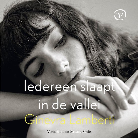 Iedereen slaapt in de vallei - cover