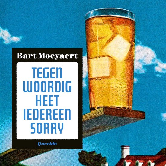 Tegenwoordig heet iedereen Sorry - cover